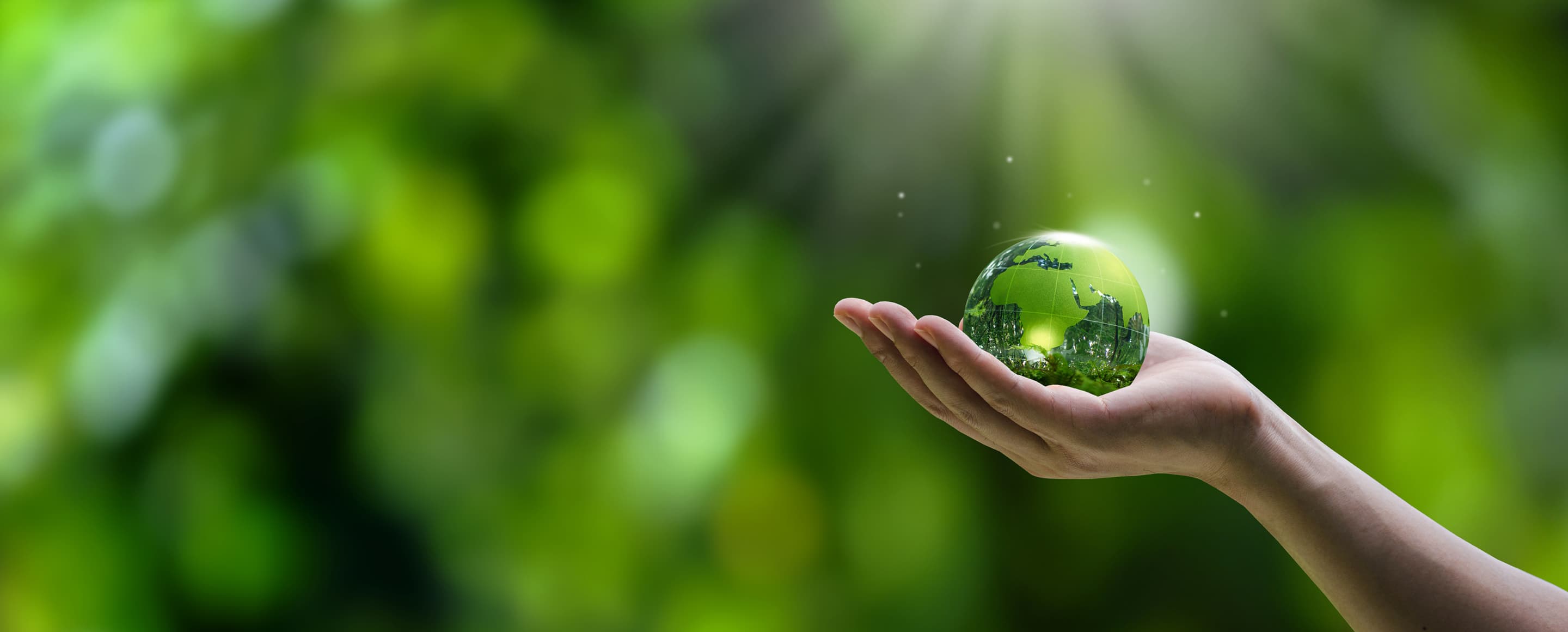 サスティナビリティのメイン画像