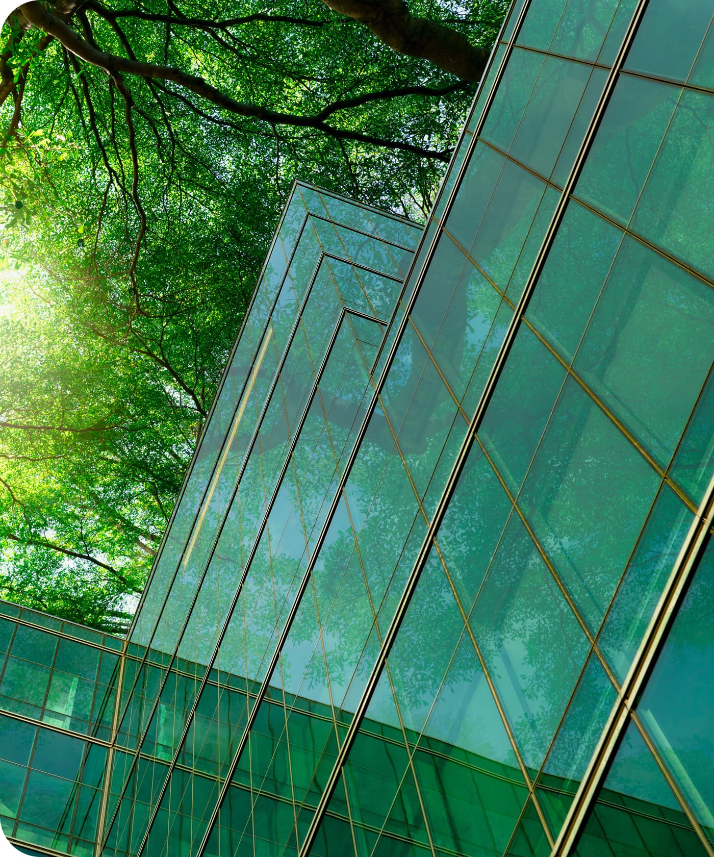 メッセージエリアのイメージ画像