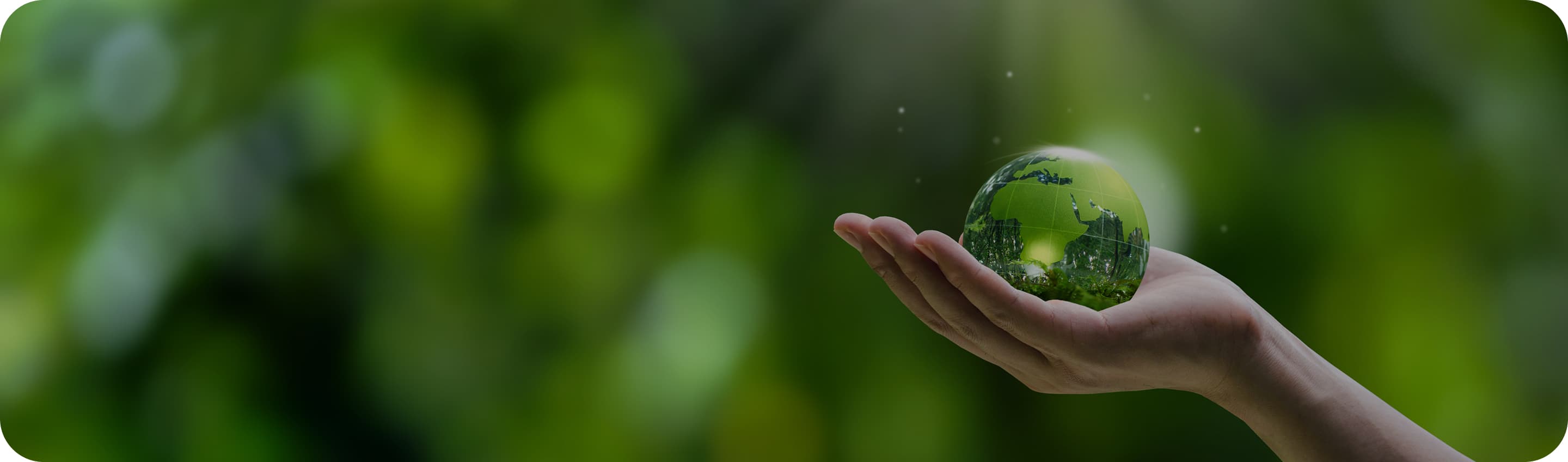 サスティナビリティイメージ画像